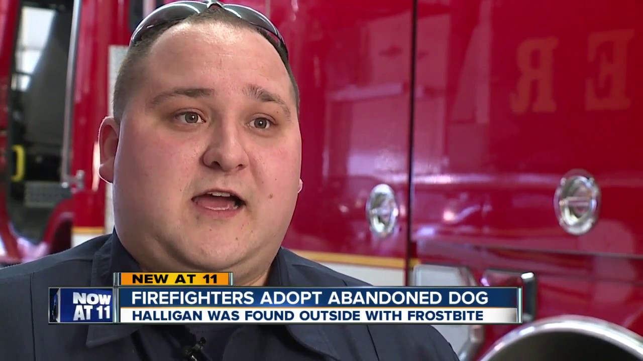 OH Firefighters Adopt Abandoned Dog