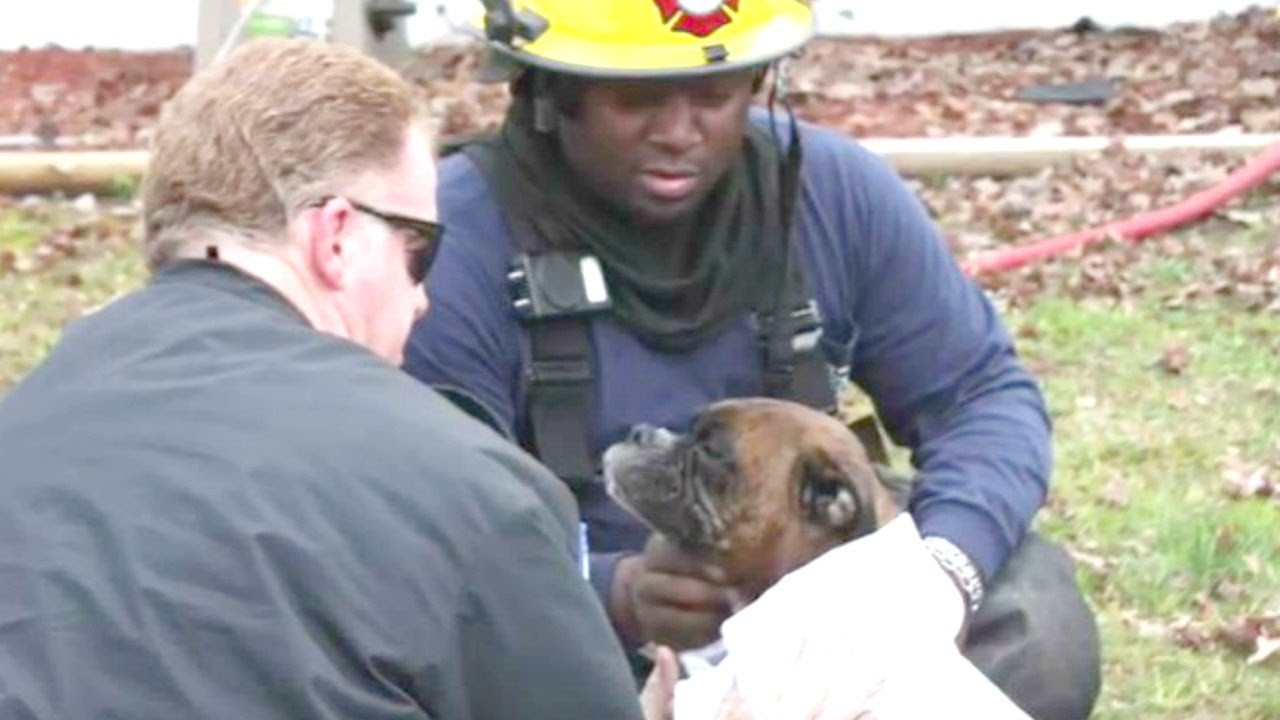Helmet Cam Captures VA Firefighter Rescue of Unconscious Dog