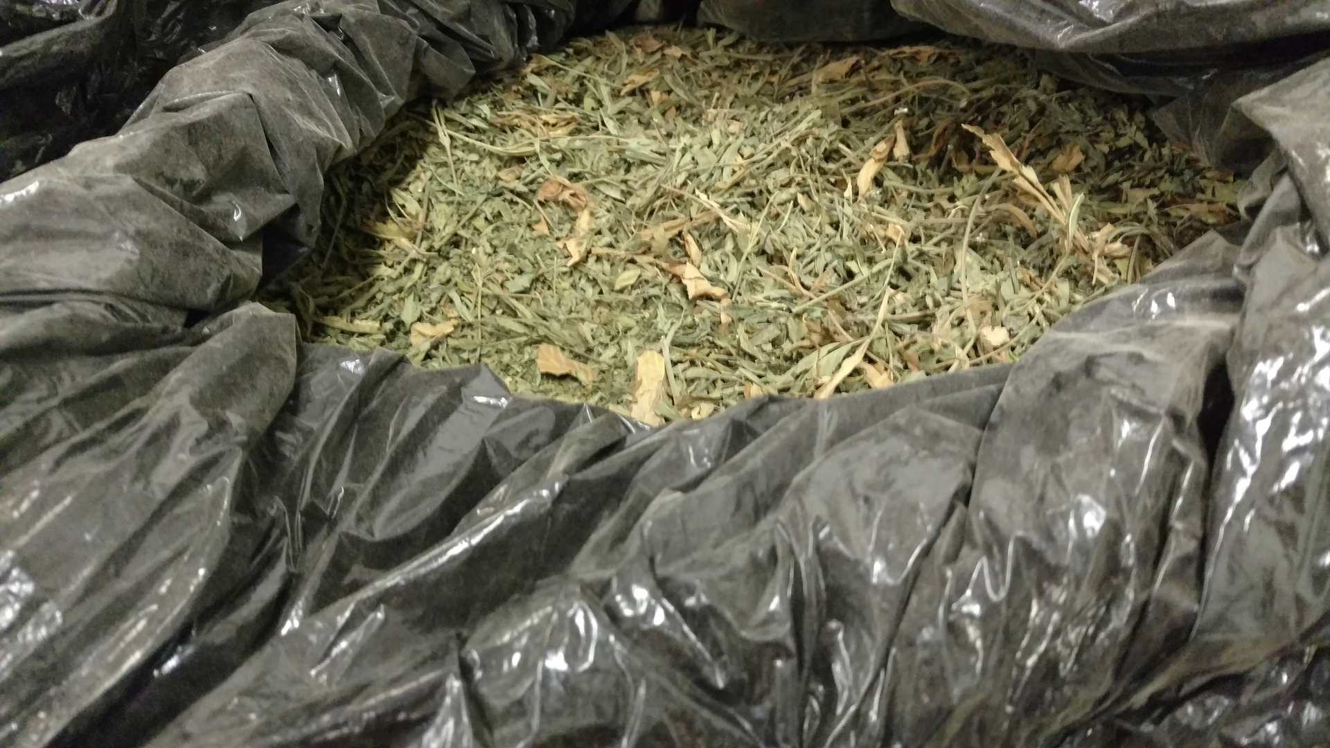 Figure 1: Marijuana &ldquo;shake&rdquo; (aka &ldquo;trim&rdquo;).