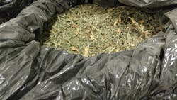 Figure 1: Marijuana “shake” (aka “trim”). Figure 1: Marijuana “shake” (aka “trim”).