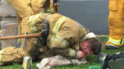 Santa Monica Firefighter Andrew Klein performs mouth-to-snout resuscitation on a 10-year-old dog he rescued from an apartment fire.