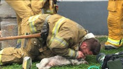 Santa Monica Firefighter Andrew Klein performs mouth-to-snout resuscitation on a 10-year-old dog he rescued from an apartment fire.