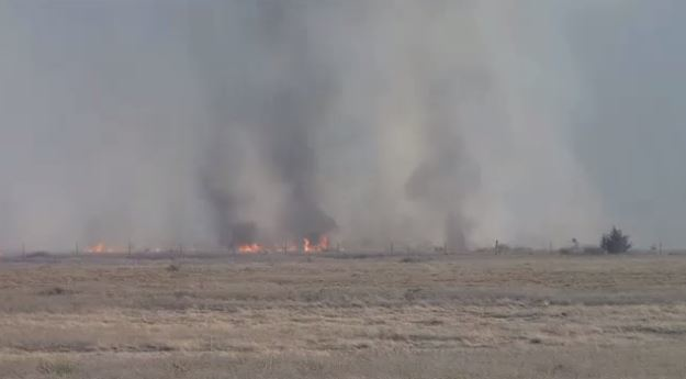 Vids Borger 58c6eb851f602