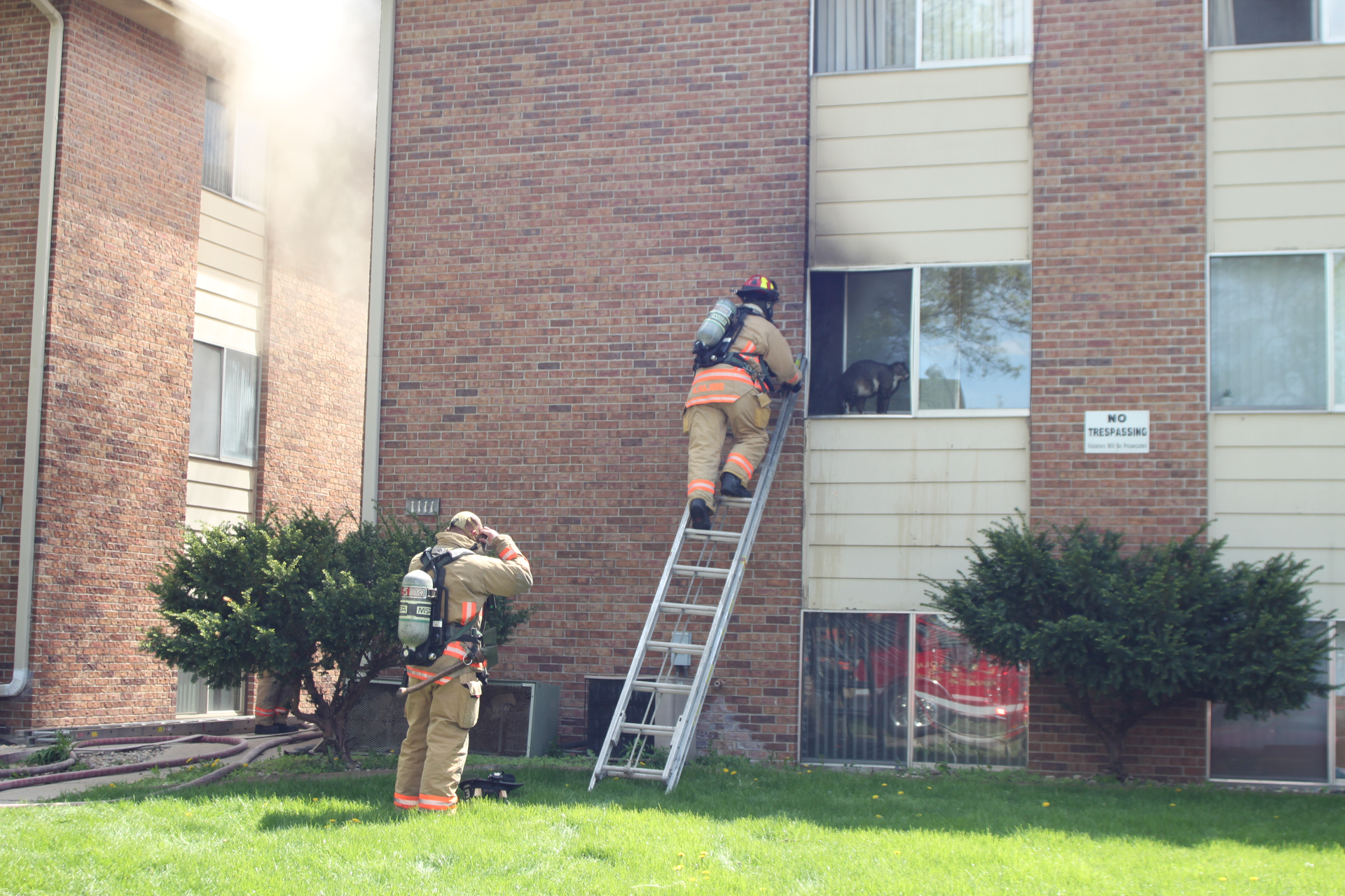 Lincoln, NE, Firefighters Free Cat from House Apartment Fire