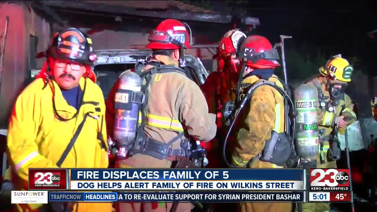 Barking Dog Saves CA Family from House Fire | Firehouse