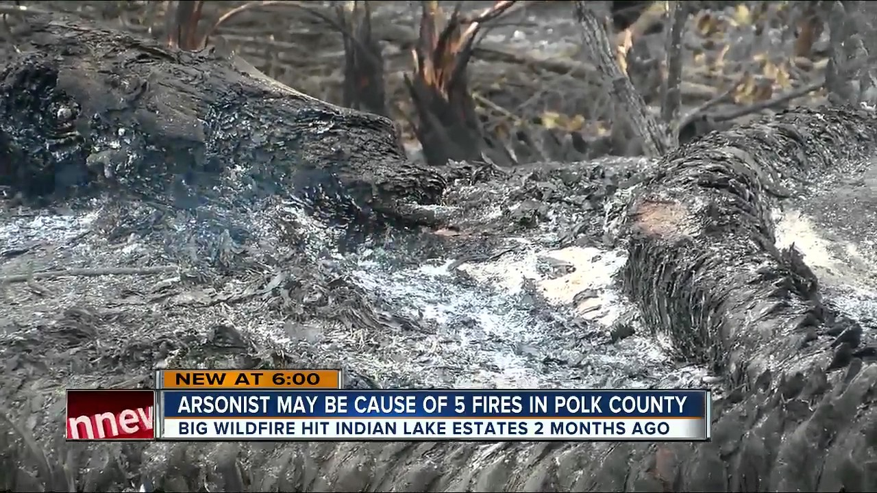 Arson Suspected in FL Wildland Fires