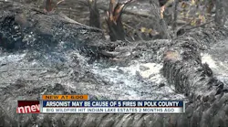 Arson Suspected in FL Wildland Fires