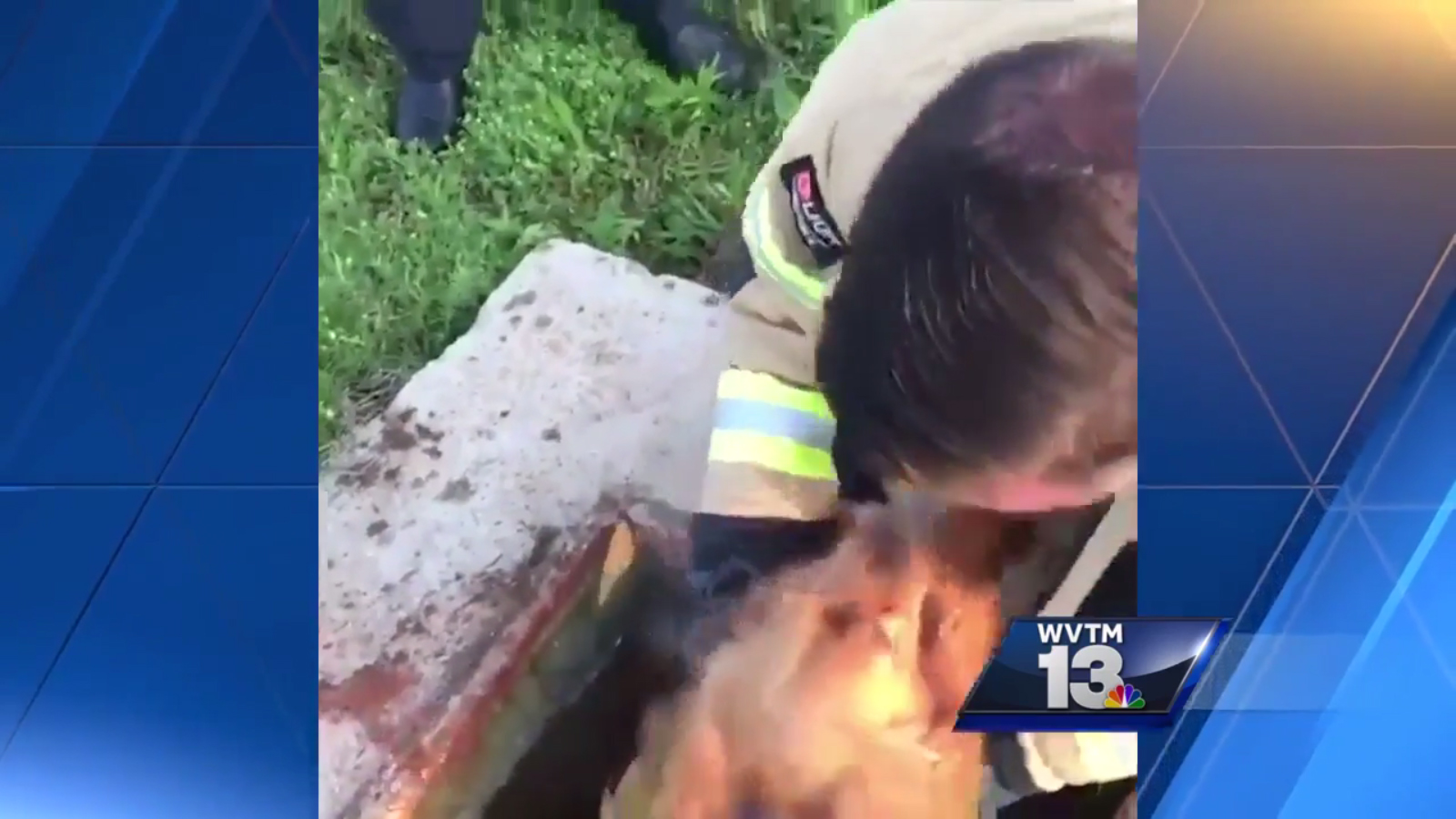 Puppy Rescued from Storm Drain by AL Firefighters | Firehouse