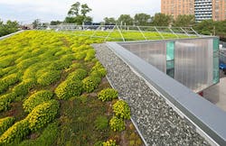 The 5,500-square foot green roof on EMS Station 3 is used to collect and filter water for a community garden adjacent to the station. The 5,500-square foot green roof on EMS Station 3 is used to collect and filter water for a community garden adjacent to the station.