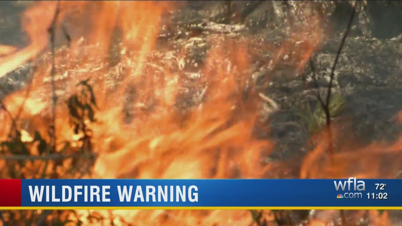 FL Firefighters Battle 2K Acre Wildfire