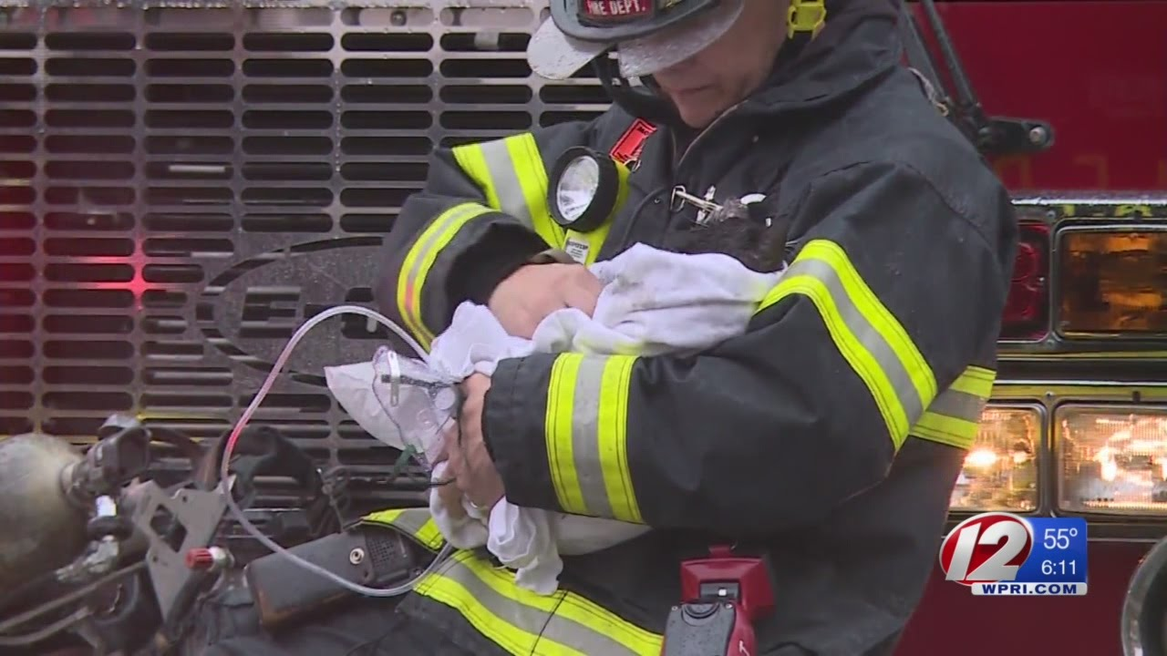 MA Firefighters Save Cat from House Fire