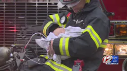 MA Firefighters Save Cat from House Fire