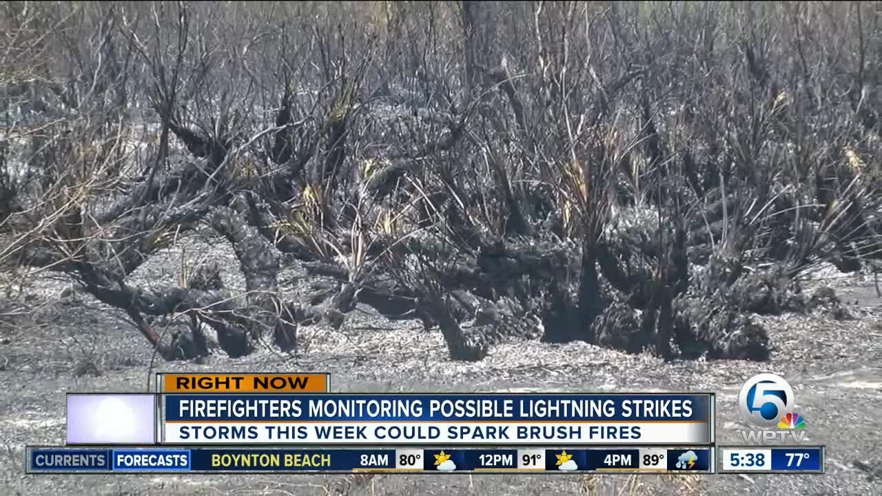 FL Firefighters Keeping Eye on Lightning-Sparked Fires