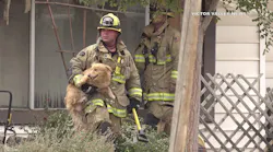 CA Firefighters Douse Home Blaze, Rescue Four Dogs