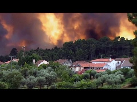 Forest Fire in Portugal Kills 62 People, Injures 59