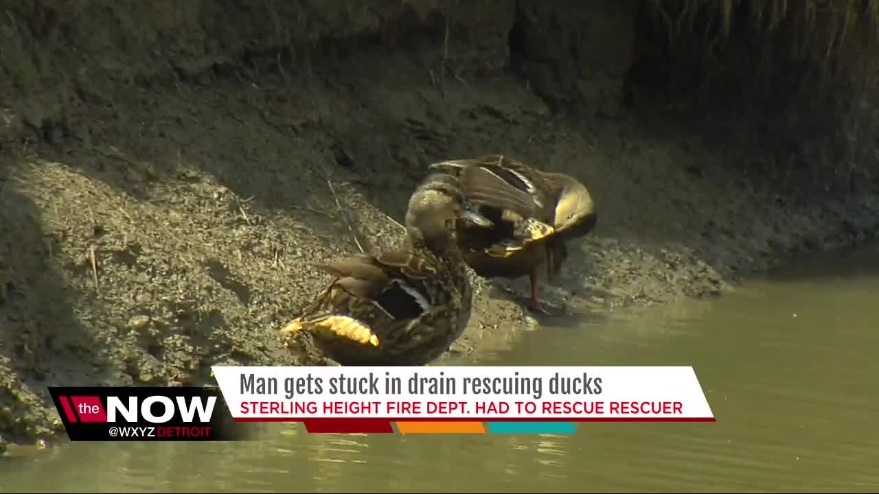 MI Firefighters Rescue Man Who Tried to Save Ducklings