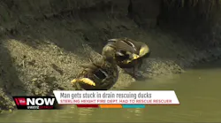 MI Firefighters Rescue Man Who Tried to Save Ducklings