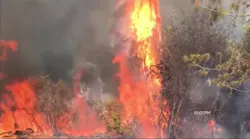 CA Firefighters Taking Extra Precautions amid Heat Wave