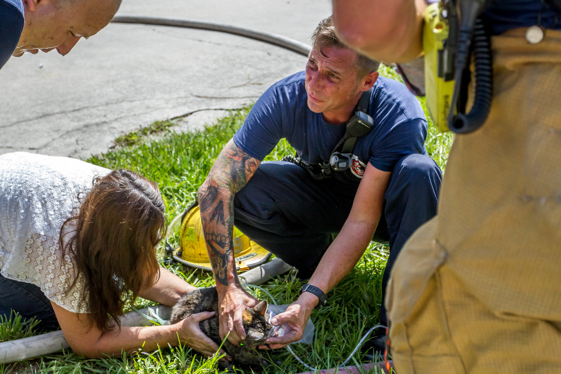 Firefighters Revive Several Cats at FL Kitchen Fire | Firehouse