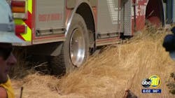 The Selma pumper struck a tree stump near the Detwiler Fire and the captain was thrown from the apparatus. The Selma pumper struck a tree stump near the Detwiler Fire and the captain was thrown from the apparatus.