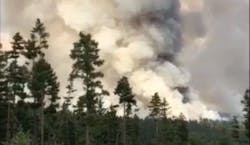 A thick plume of smoke rises over the city of Williams Lake as dozens of wildfires which have displaced over 45,000 people continue to ravage British Columbia.