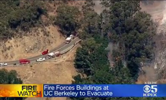 Berkley 59829a9036229