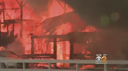 More Than a Dozen Horses Saved from Fire at Historic NY Track