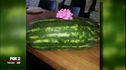 Watermelon 59d8e10e422f5 Watermelon 59d8e10e422f5