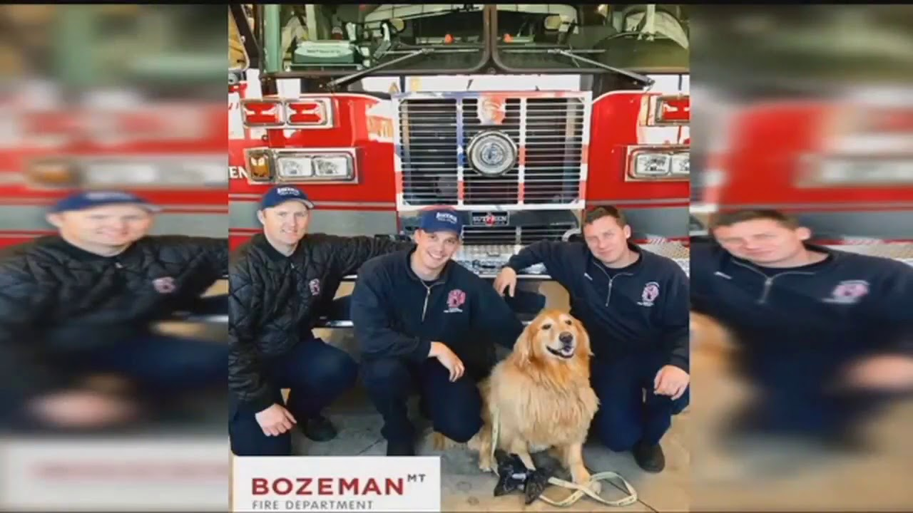 MT Firefighters Rescue Dog from Icy Pond