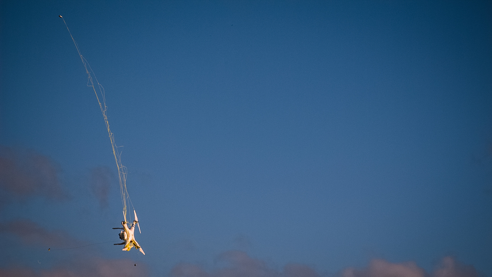 Active mitigation technologies/strategies include net-shooting devices.