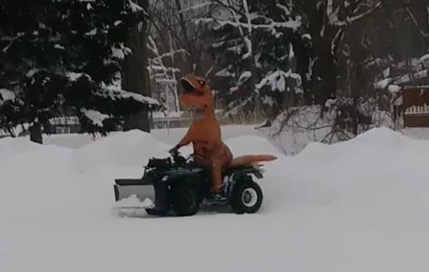 Erie, PA, firefighter Steve Moore had a little fun on New Year's Day by plowing five feet of snow off his fire station's parking lot in a T-Rex costume.