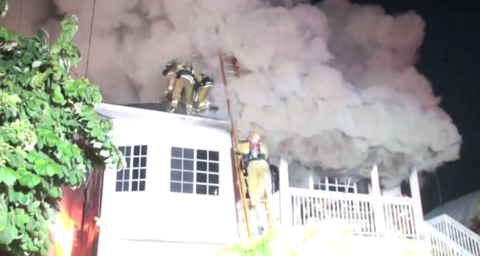 lafd3 5a578c2ae708e