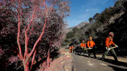 Members of the Nevada Division of Forestry make their way past trees covered in fire retardant while putting out hot spots from the Thomas fire in Montecito, CA, on Dec. 18, 2017.