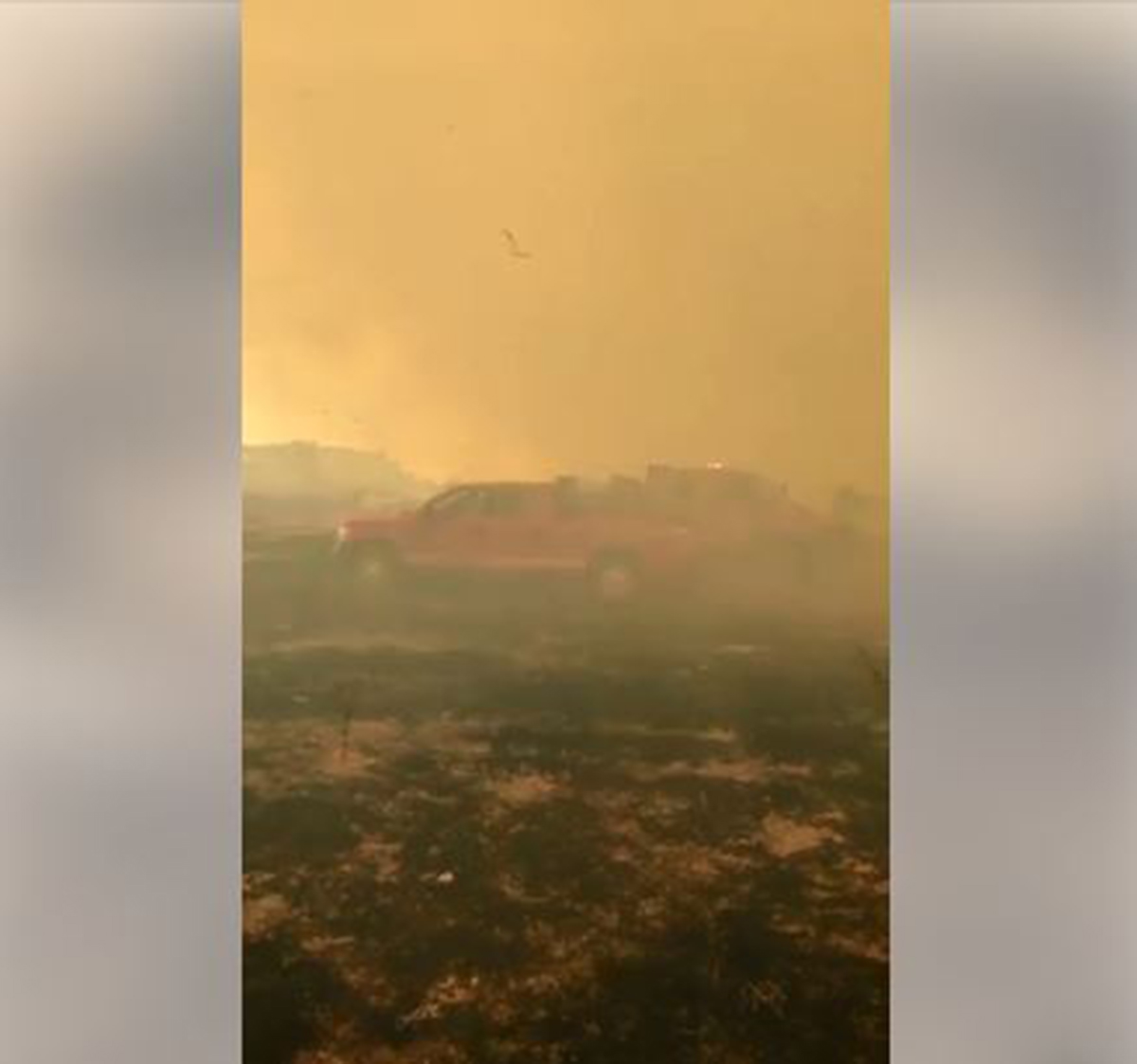 Tx Wildfire