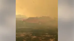 Tx Wildfire