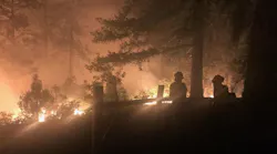 Firefighters during night operations on the 416 fire burning north of Durango, CO, on June 9, 2018.