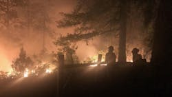 Firefighters during night operations on the 416 fire burning north of Durango, CO, on June 9, 2018.