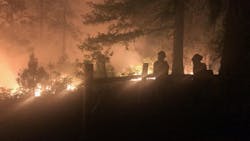 Firefighters look on during night operations against the 416 fire burning near Durango, CO, on June 9, 2018.