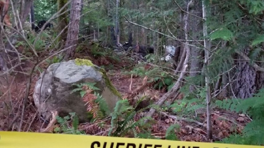 Almost nothing remains of a small cabin where an explosion and fire killed a family of five in Brinnon, WA, on Sunday, June 10, 2018.