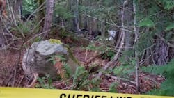 Almost nothing remains of a small cabin where an explosion and fire killed a family of five in Brinnon, WA, on Sunday, June 10, 2018. Almost nothing remains of a small cabin where an explosion and fire killed a family of five in Brinnon, WA, on Sunday, June 10, 2018.