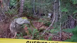 Almost nothing remains of a small cabin where an explosion and fire killed a family of five in Brinnon, WA, on Sunday, June 10, 2018. Almost nothing remains of a small cabin where an explosion and fire killed a family of five in Brinnon, WA, on Sunday, June 10, 2018.