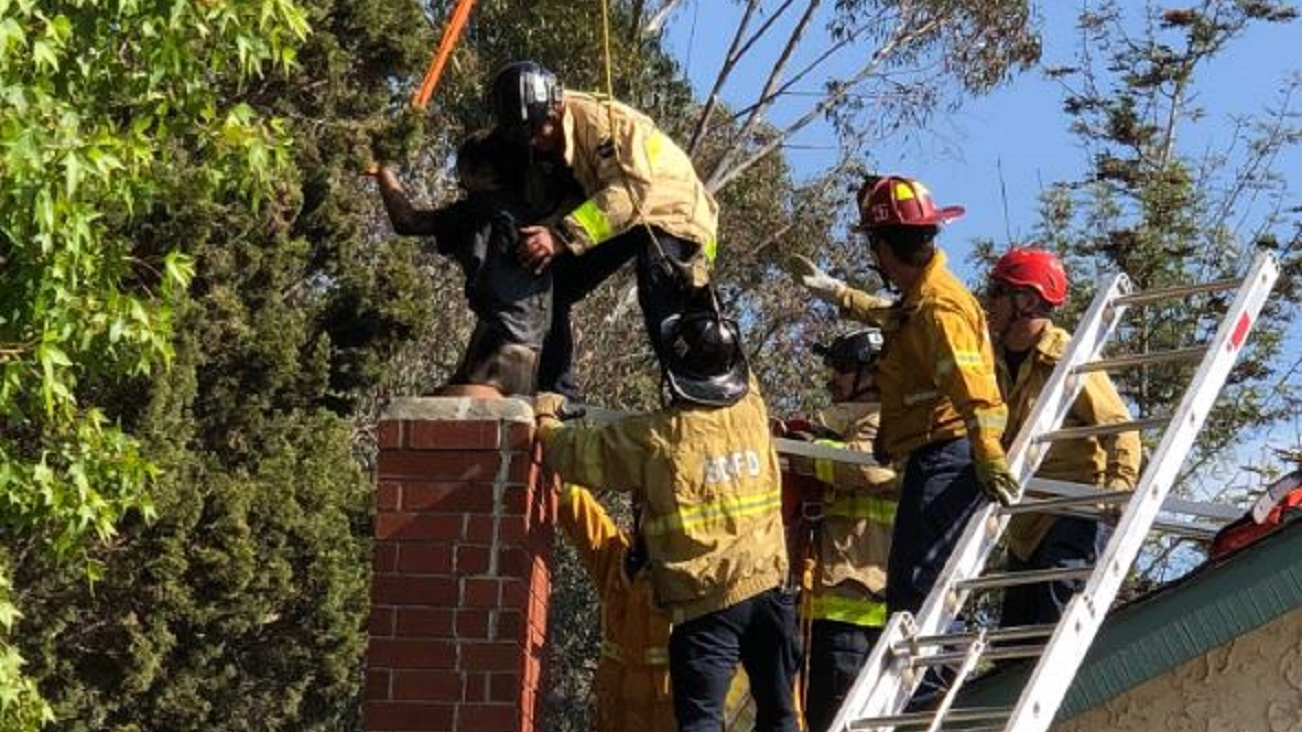 San Diego firefighters pull a man free from a chimney after he became stuck on Wednesday, July 11, 2018.