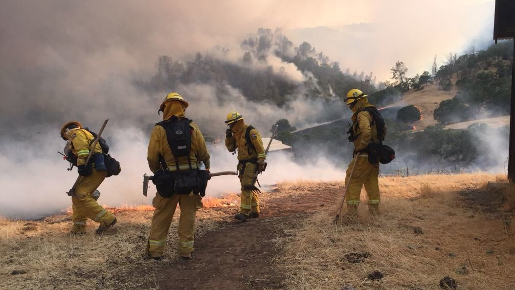 Firefighters work on a containment line against the County Fire in Yolo County, CA, on Sunday, July 1, 2018.