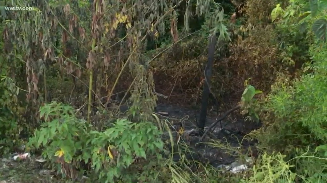 A wooded area in the Algiers section of New Orleans where firefighters and police found two burned bodies after a brush fire was extinguished on Sunday, July 29, 2018.