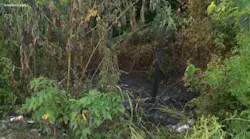 A wooded area in the Algiers section of New Orleans where firefighters and police found two burned bodies after a brush fire was extinguished on Sunday, July 29, 2018.