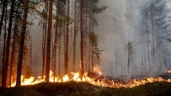 One of the wildfires ravaging the Swedish countryside on Monday, July 23, 2018. One of the wildfires ravaging the Swedish countryside on Monday, July 23, 2018.