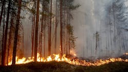 One of the wildfires ravaging the Swedish countryside on Monday, July 23, 2018.