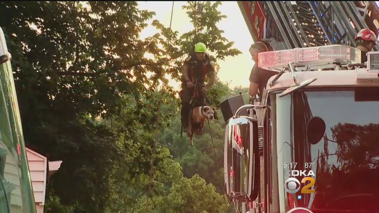 Penn Hills PA Rescuer Calls Ravine Rescue Miracle Firefighters Firehouse(01)