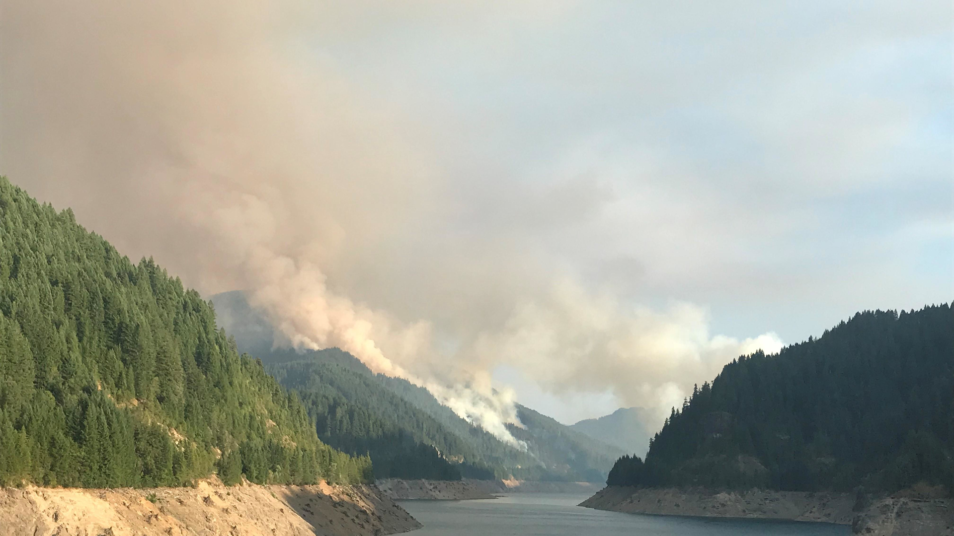 Terwilliger Fire 5b7ed6820accf