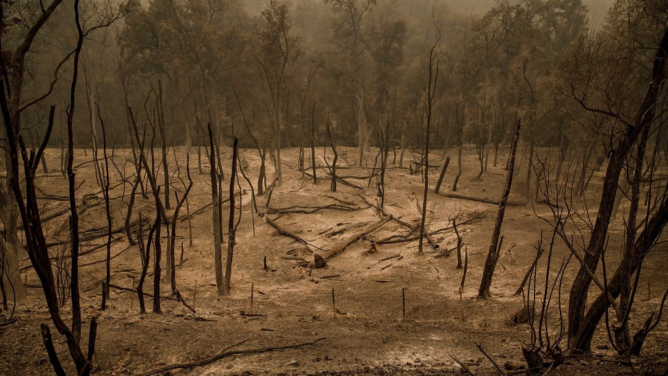 A view of the charred landscape outside Redding, CA, on Sunday, July 29, 2018, in the wake of the massive Carr Fire.